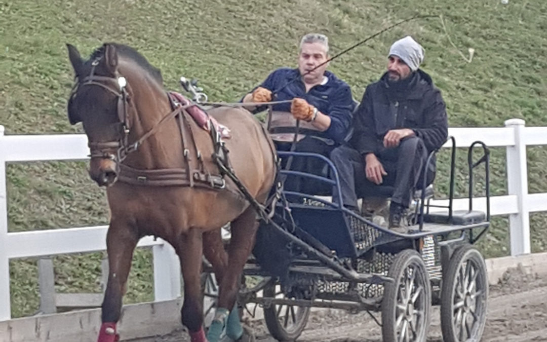 ..Non solo endurance Davide Venanzoni Para Driving di Attacchi