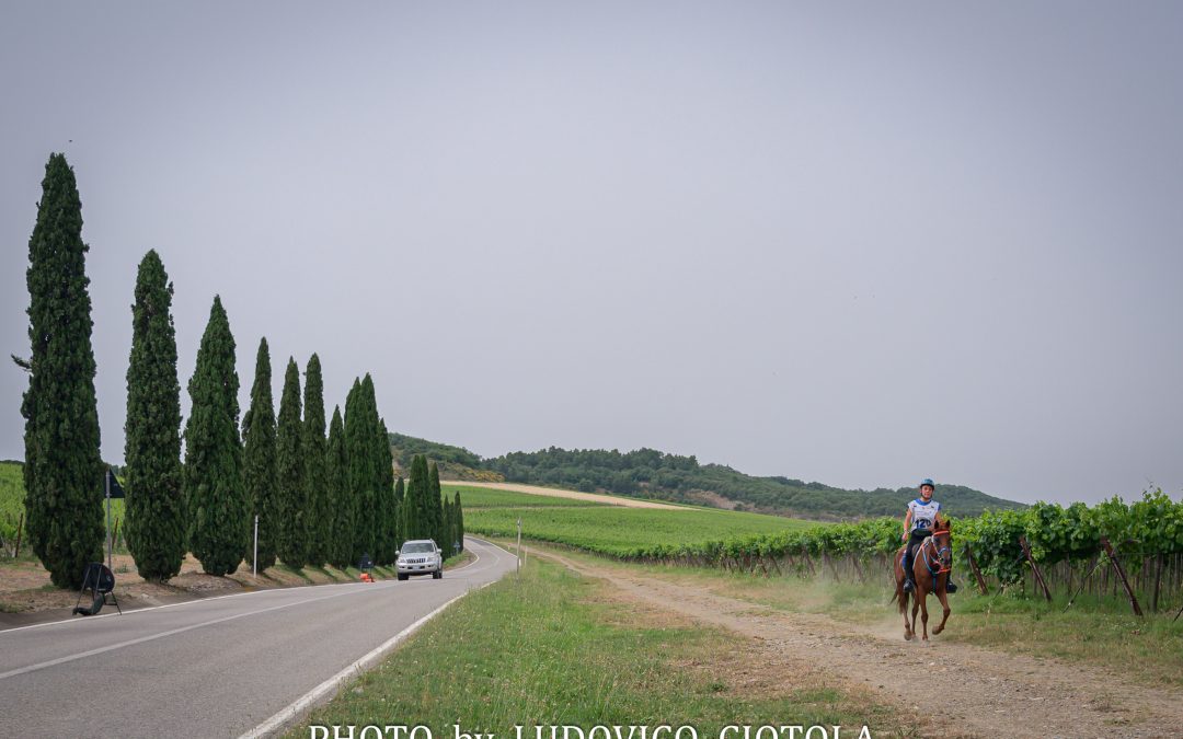 II^ parte-Buona visione del fotografo Ludovico Ciotola …