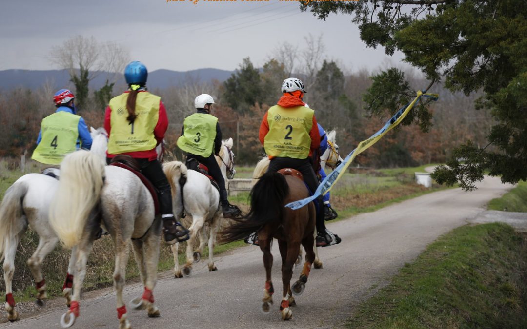 12/12/2021 Massa Marittima (GR)Finale Campionato Toscano Endurance 2021