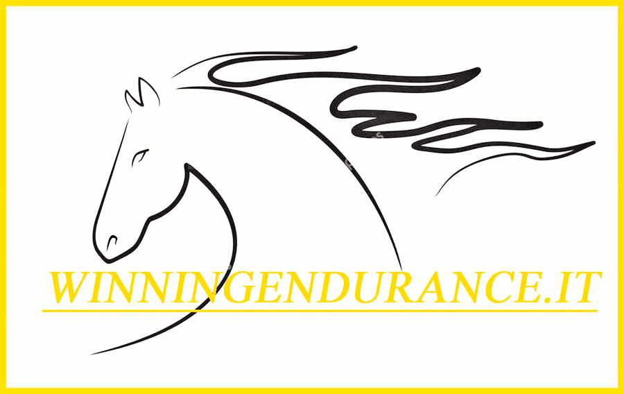 WINNINGENDURANCE.IT  -STAGIONE ENDURANCE 2022