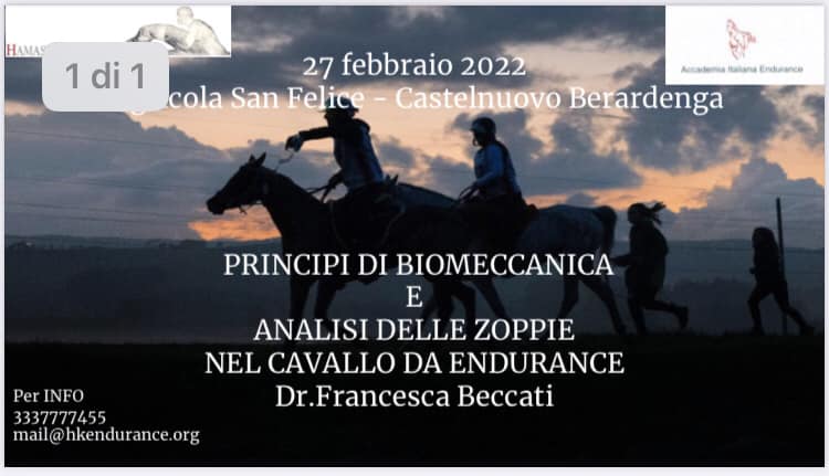 Stage di  biomeccanica del cavallo.