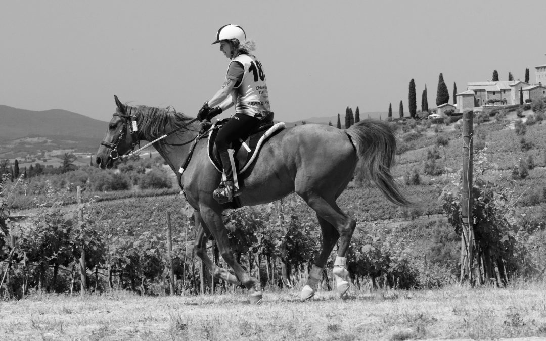 Presentazione  delle foto scattate dal Sig. Fabrizio Bigazzi.