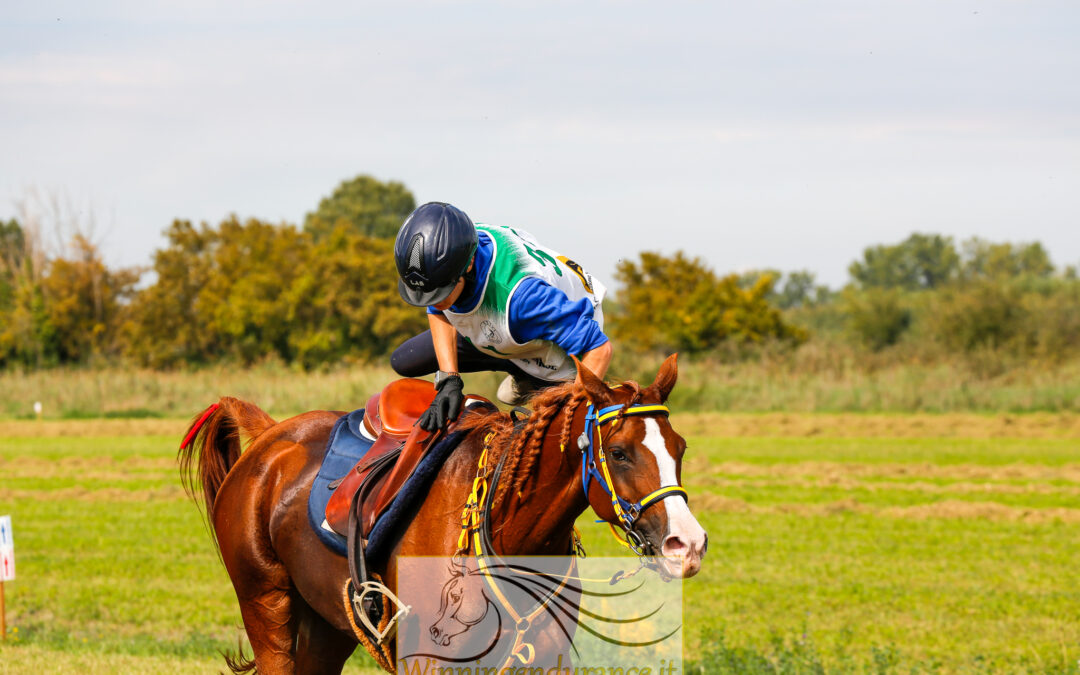 Salire e scendere dal cavallo .