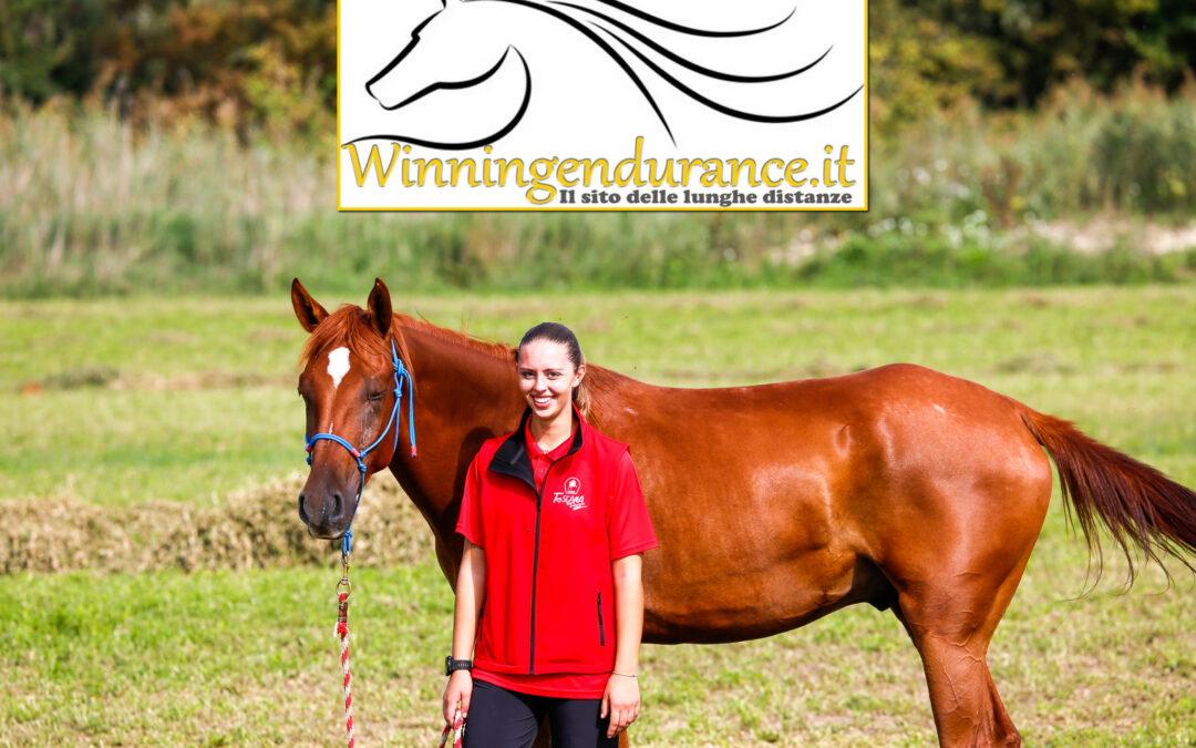 All the amazons and young riders  photographed by Winningendurance in 2022