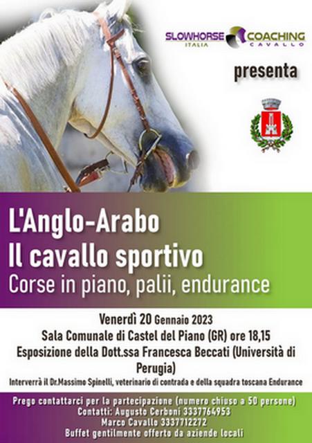 L’ ANGLO ARABO .. Il cavallo sportivo…