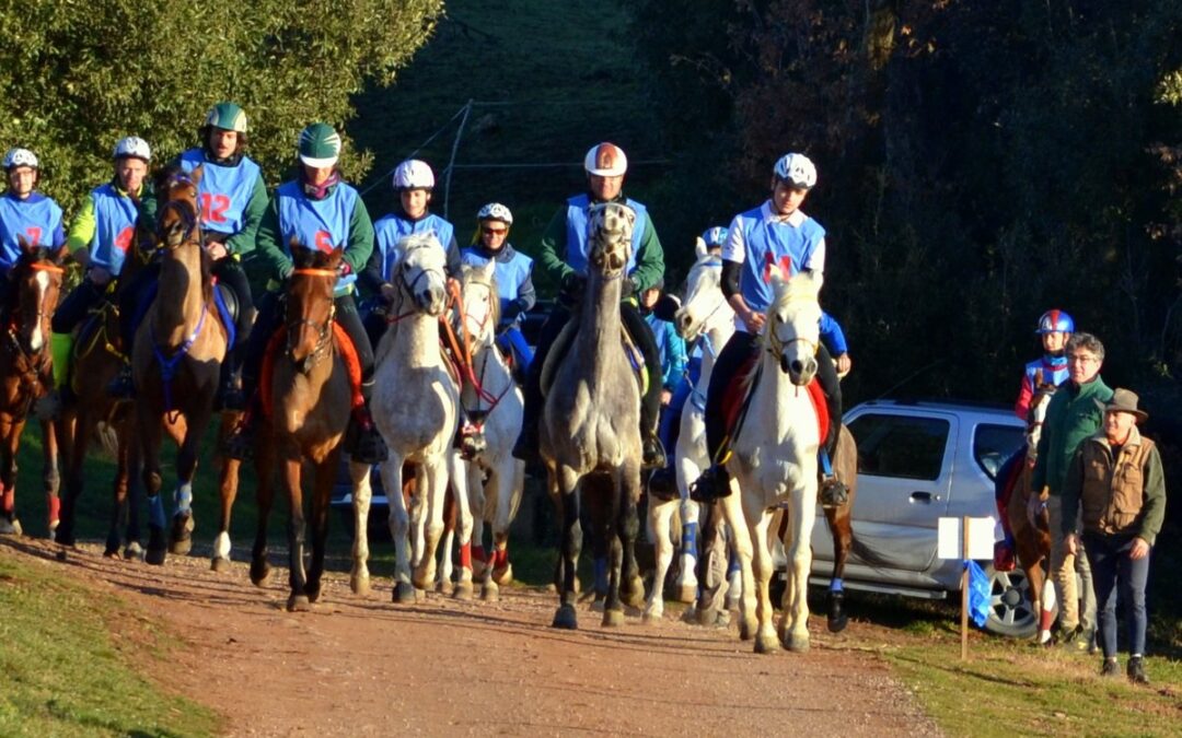 Tenuta il Fontino   campionato toscano endurance 2017