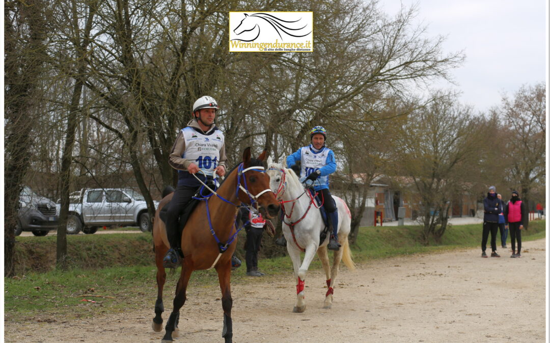 Daniel Braido e Katim di Pegaso che VINCONO  la CEI3* (160 km)