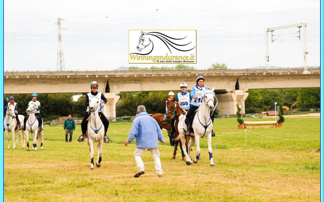 4ª TAPPA FESTIVAL TERRE TOSCANE Arezzo