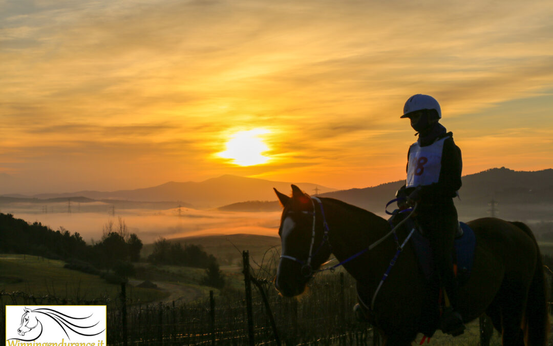 L’alba luminosa sulla tenuta del  IL Fontino, un significato di buon auspicio cominciare l’endurance 2024 per gli enduristi toscani e non.