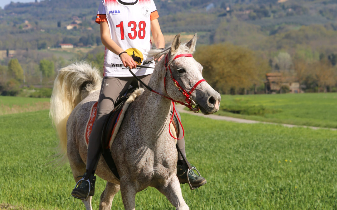 La YOUNG RIDER   SANDI EMMA in sella a ELIFSZJA