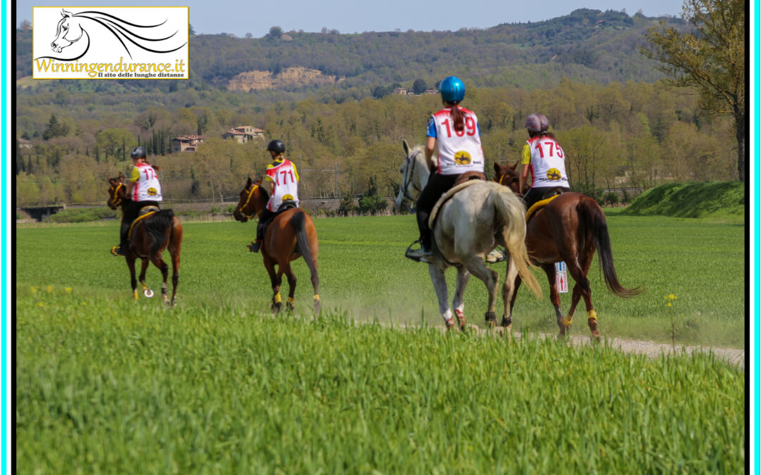 All the amazons and young riders photographed by Winningendurance