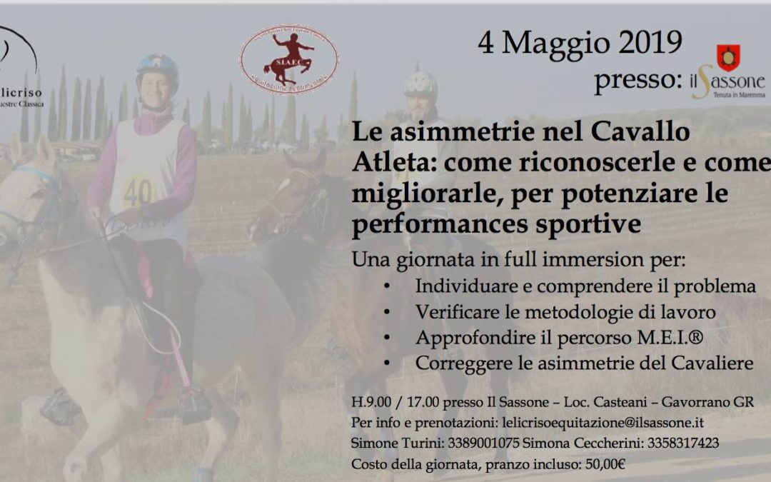 LE ASIMMETRIE NEL CAVALLO ATLETA