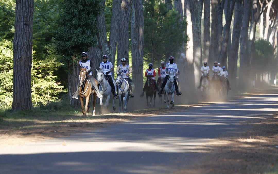 ON LINE LA BOZZA DELLA TRADUZIONE DEL REGOLAMENTO FEI DI ENDURANCE