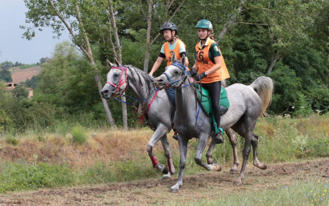 Risultati Campionati Italiani ANICA – FEI e regionali ASD Wild Horse – Città della Pieve (PG)