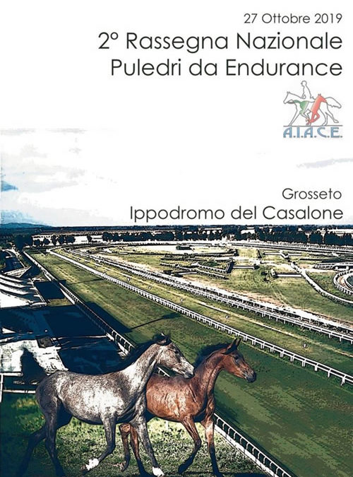 2^ Rassegna nazionale “Puledri da Endurance”,