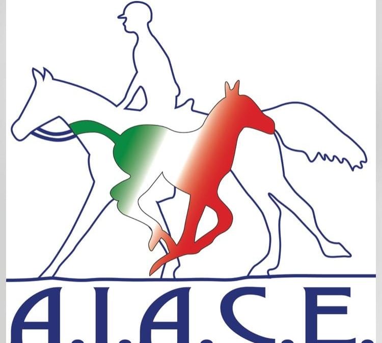 2° rassegna puledri da endurance di A.I.A.C.E.