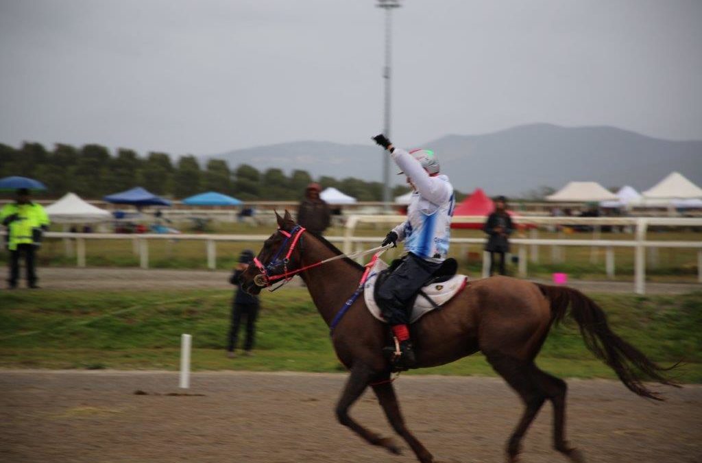 16 /07/2019 -Follonica (GR) Trofeo Città di Follonica, Finale Giovani Cavalli MiPAAFT 7 anni Open & ANICA, Tappa Finale Coppa Italia CEI2*,CEI2*Ladies, CEIYJ2*,CEI1*.