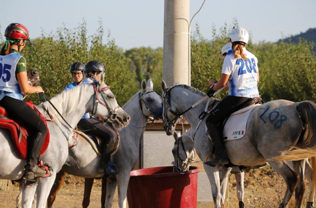Abbeverata Cavalli ore 7,30