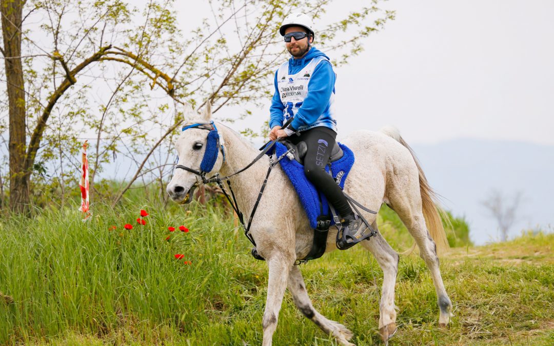 KOHL, il cavallo da endurance a cavallo di ippoterapia..