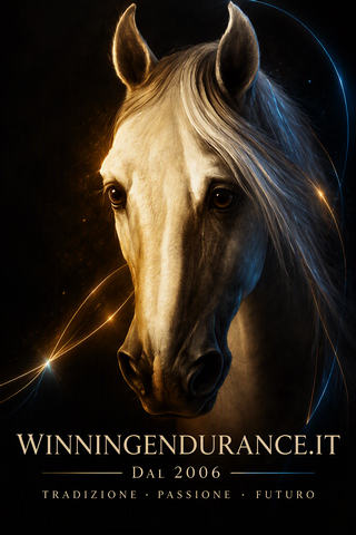Il primo logo di Winning Endurance.